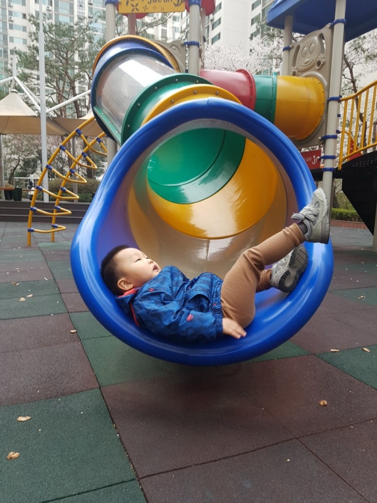 상희학교 카페 감나무 이미지