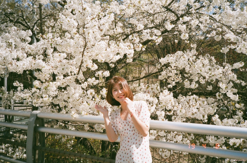 소연필름 이미지