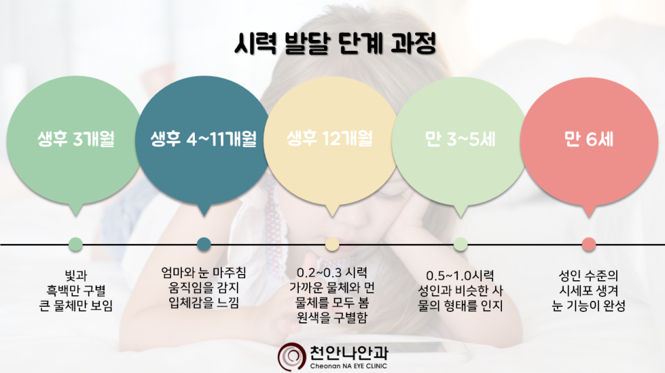 천안나안과의원 이미지
