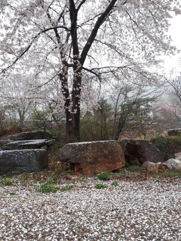 제일프라자109호 이미지