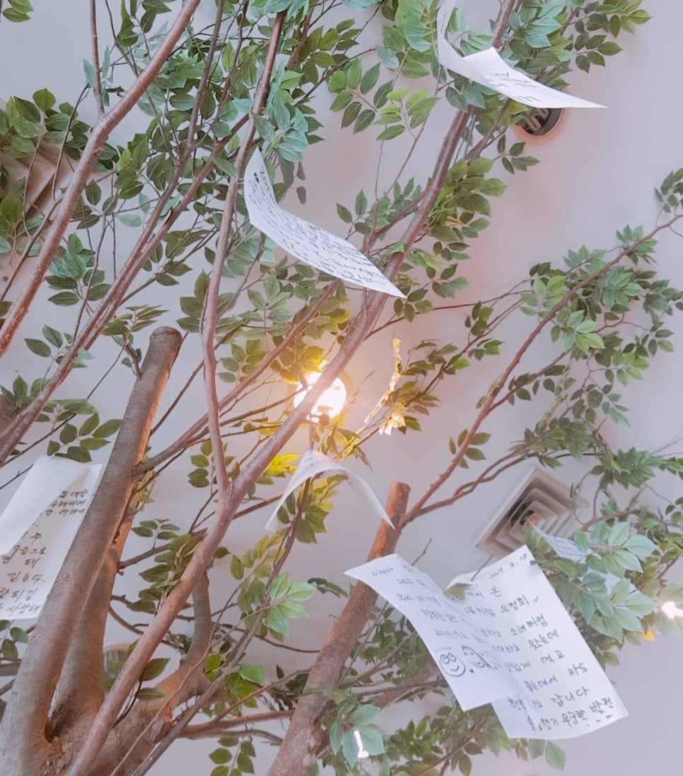 솔잎휴게실 이미지