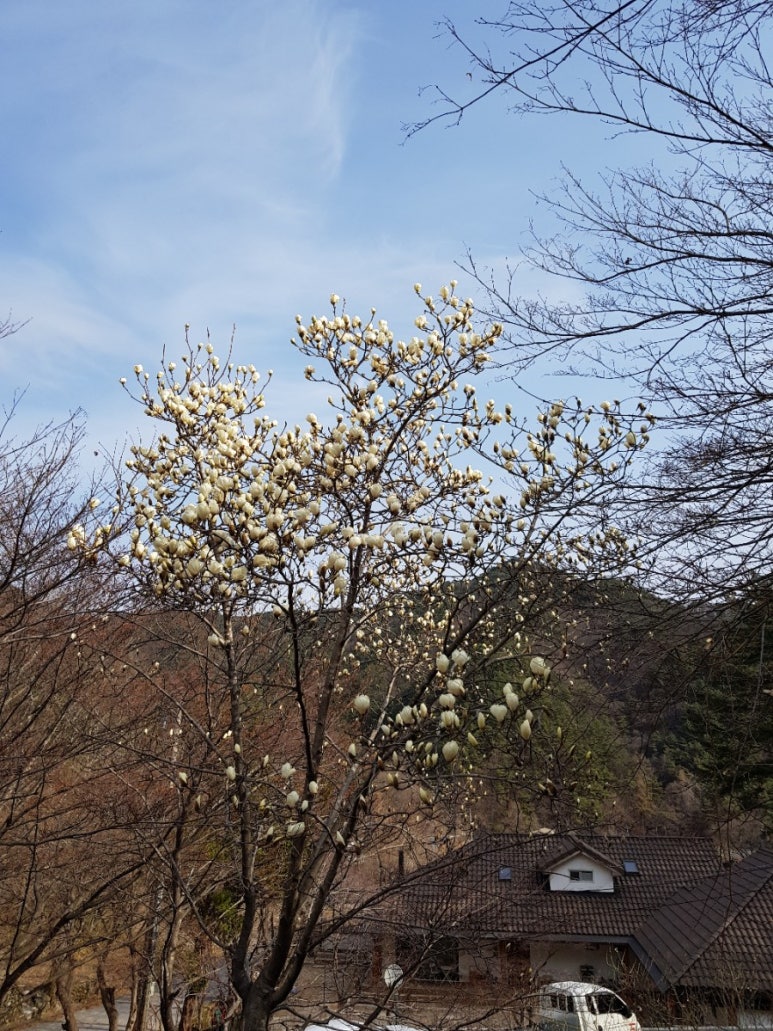엘케이관광 이미지