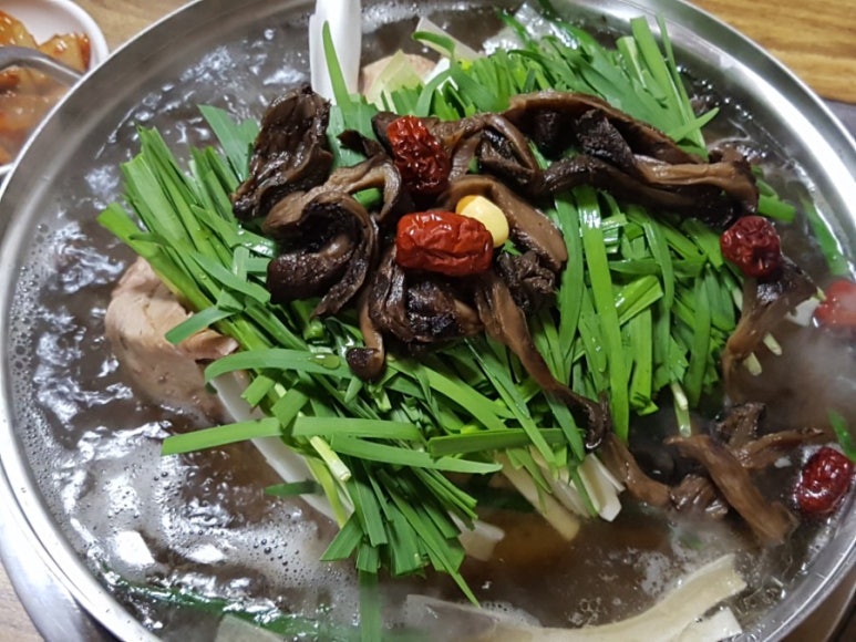 천년오리 이미지