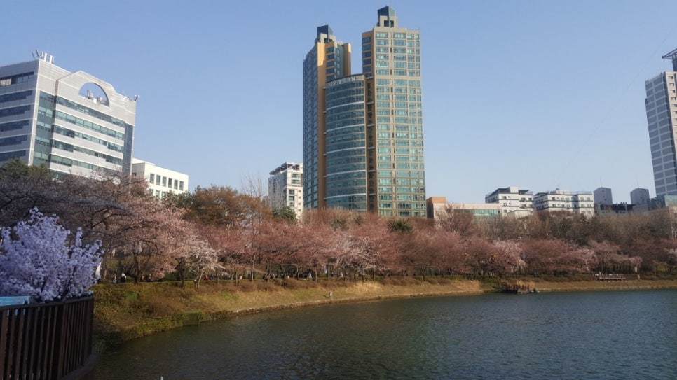 새마을분식 이미지