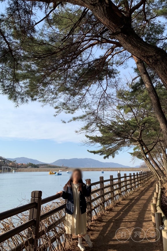 모심산양유 이미지