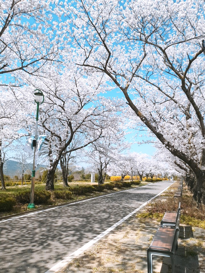 시점민박 이미지