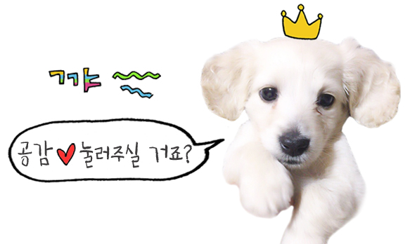 미성정육점 이미지