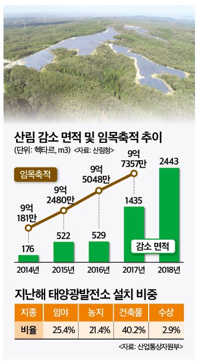 태양산림 이미지