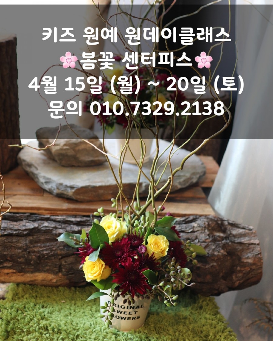 요리팡팡요리학원 이미지