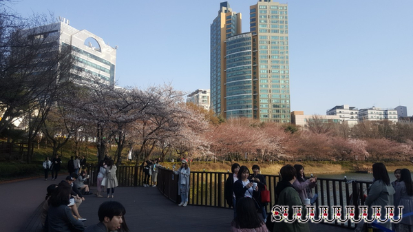 새마을분식 이미지