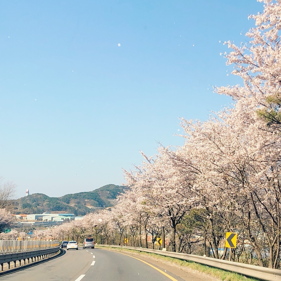 경화베이커리 이미지