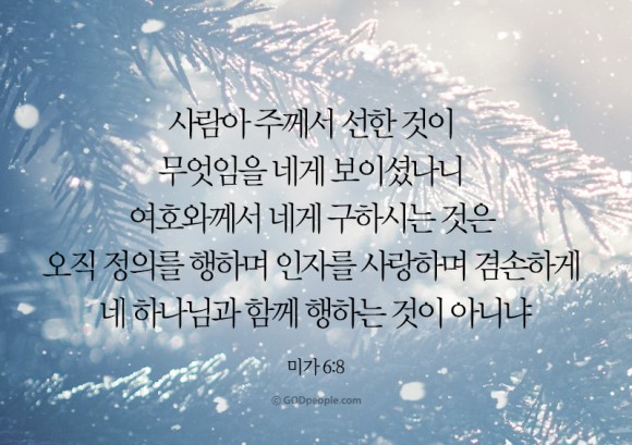 주 미가 이미지