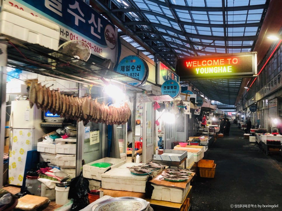 막썰어세꼬시식당 이미지