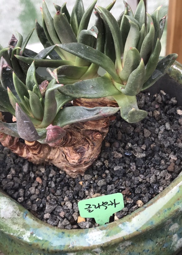 누다하우스 이미지