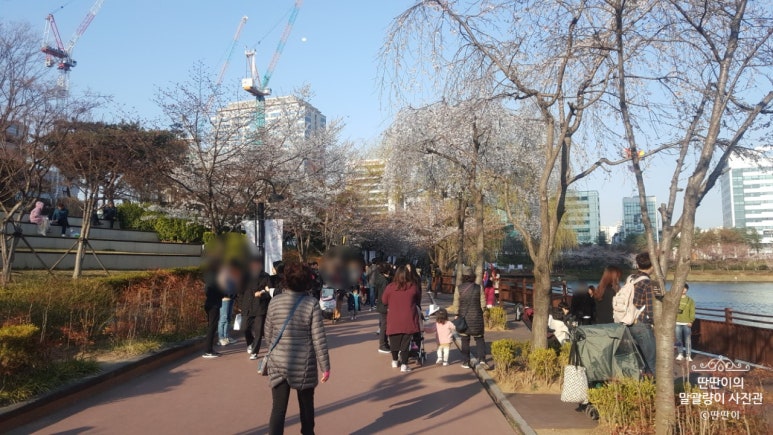 새마을분식 이미지