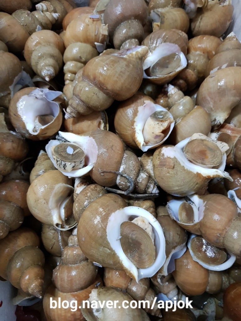 골뱅이창너머족발 이미지