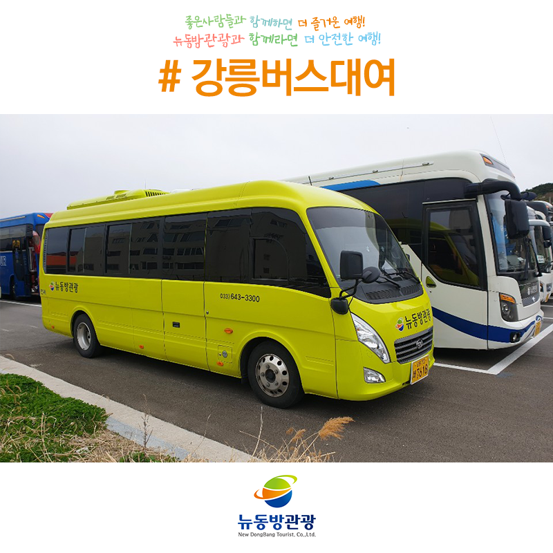 뉴동방관광 이미지