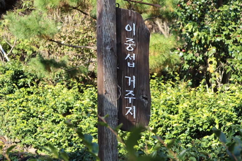 이메이즈 이미지