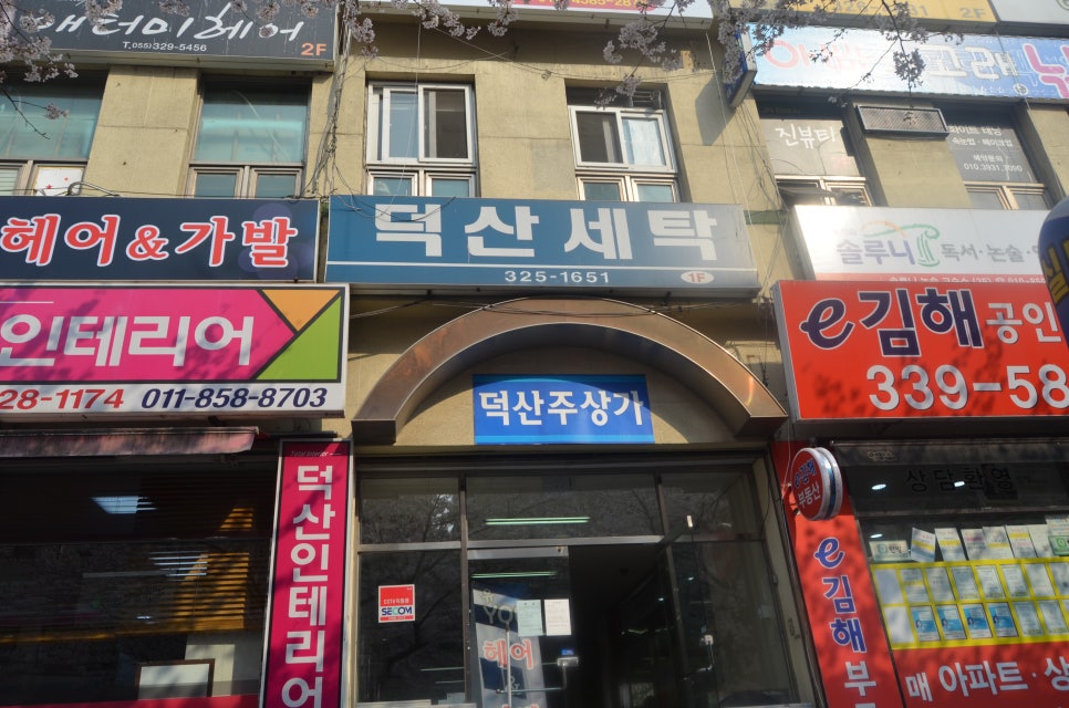 올리아 테라피 이미지