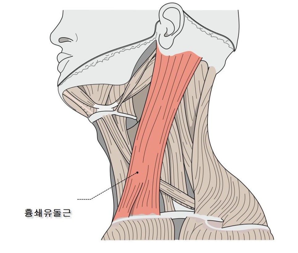 신성한의원 이미지