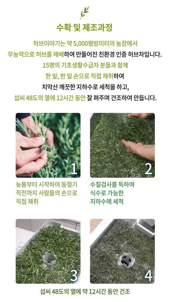 허브이야기 이미지