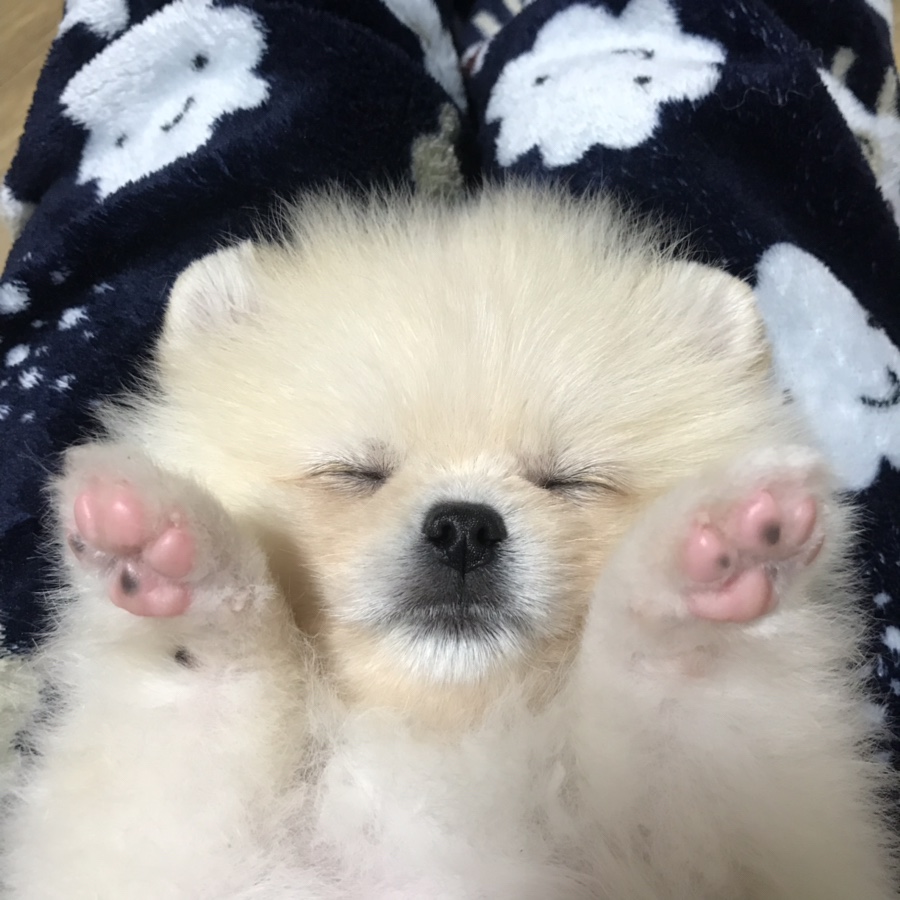베럴 댄(BETTER THAN) 이미지