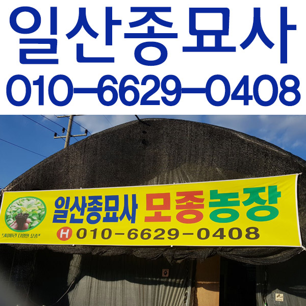 일산종묘사 이미지