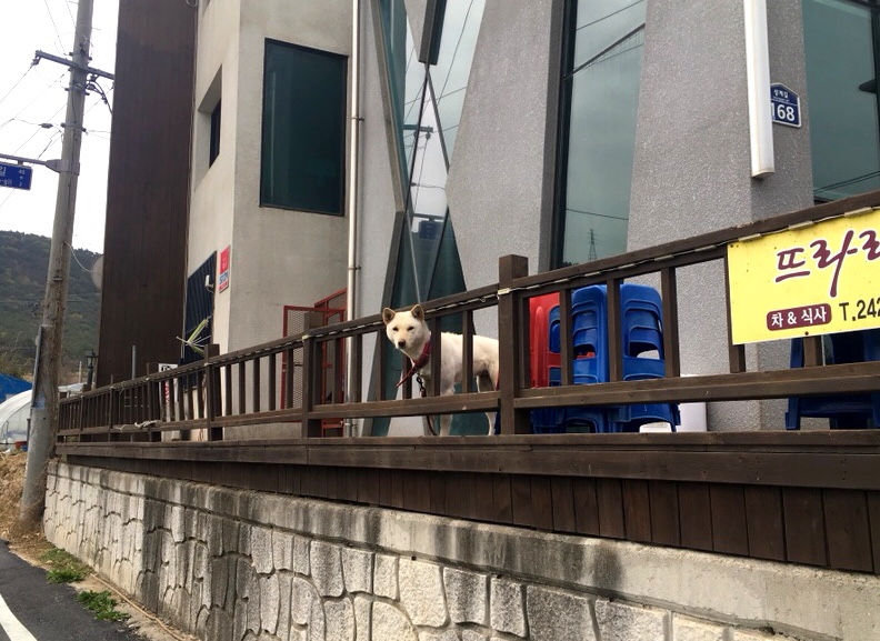 뜨라레2 이미지