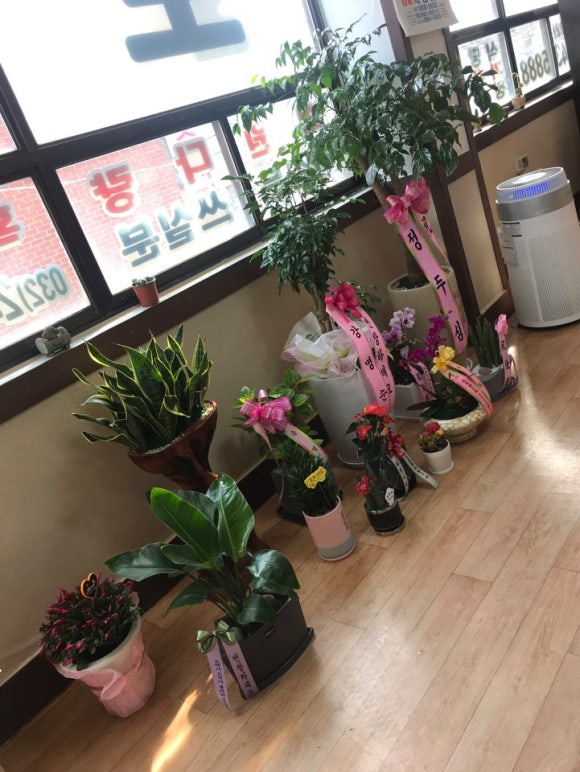 행운인력 이미지