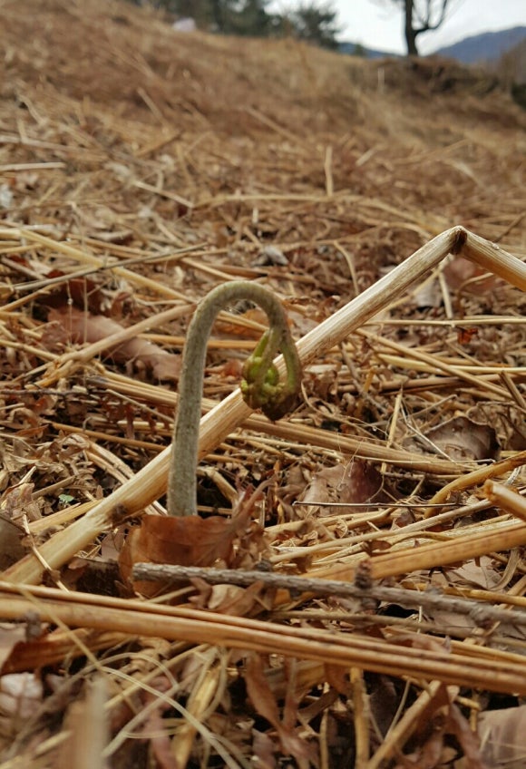 참샘산방 이미지