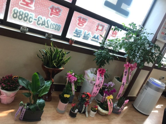 행운인력 이미지