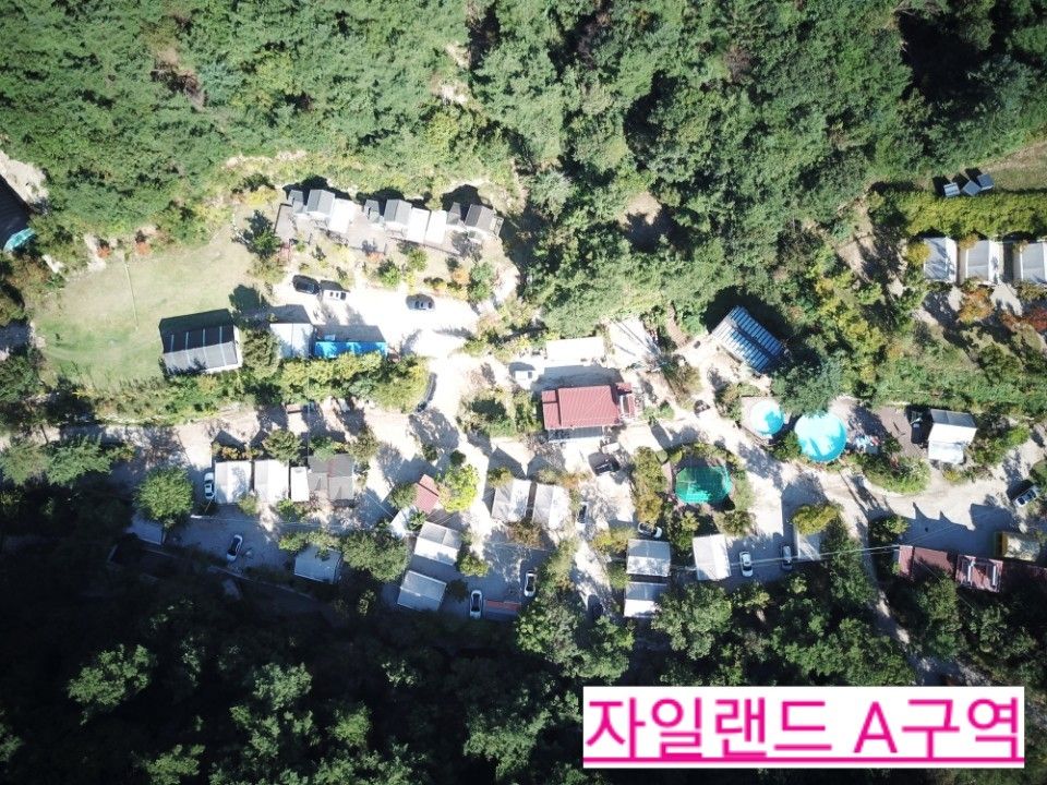 자일랜드 이미지