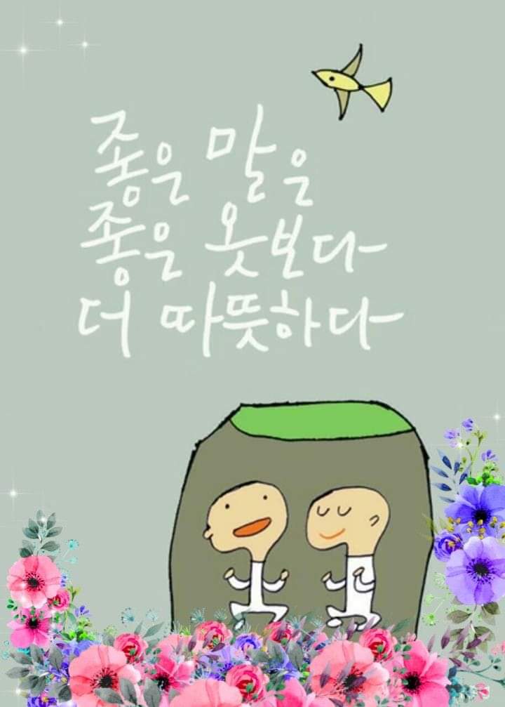 도미라 이미지
