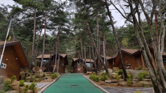 화왕산자연휴양림 이미지