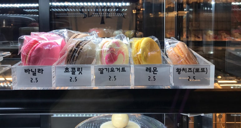 메타포션 이미지