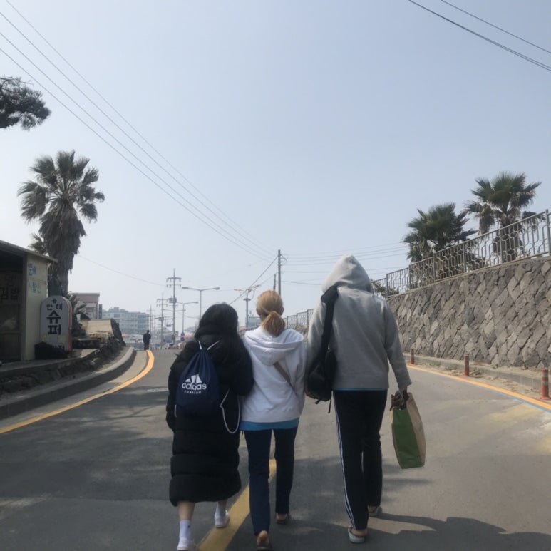 테우로26 이미지
