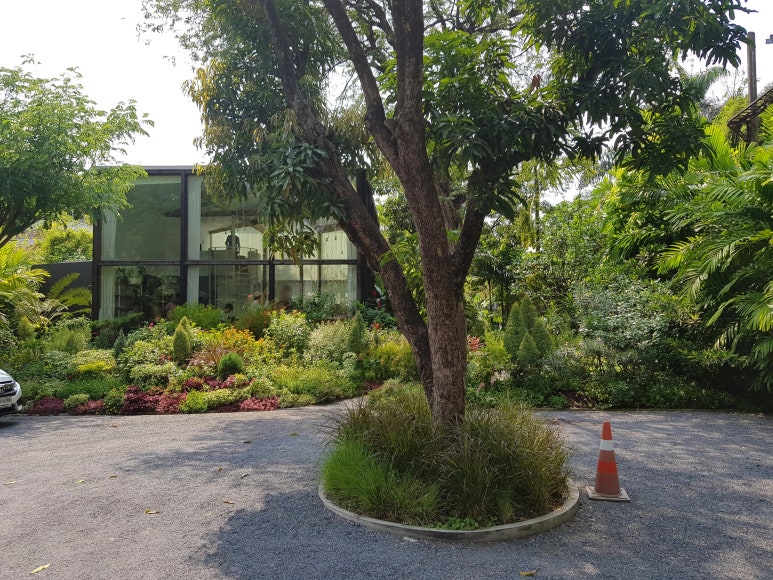 돔빠 이미지
