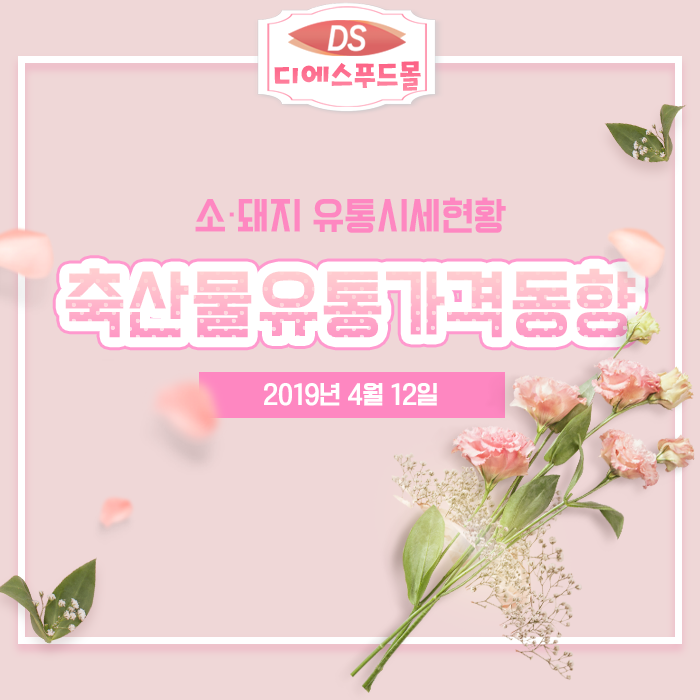 디에스유통 이미지