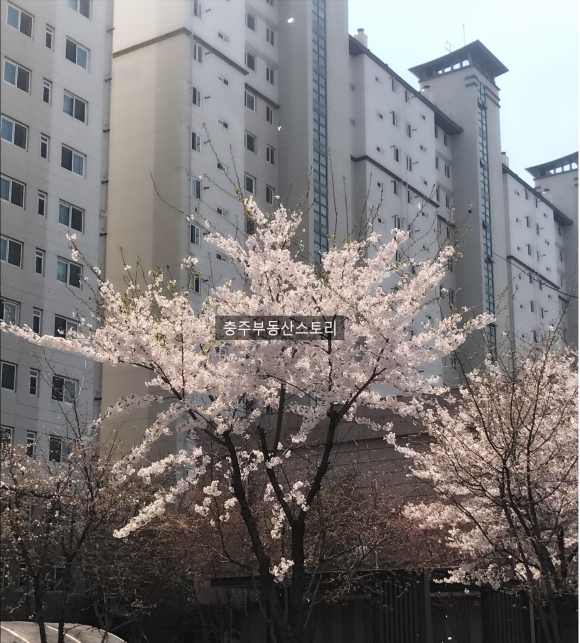부대찌개동촌 이미지