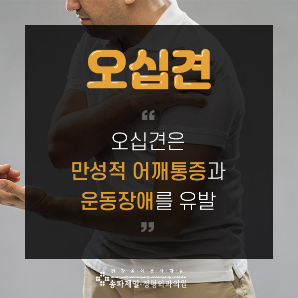 송파제일정형외과 이미지