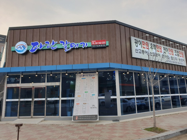 파란갈매기 이미지