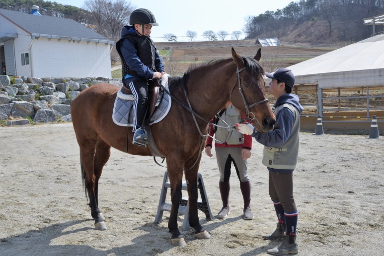 진로축산 이미지