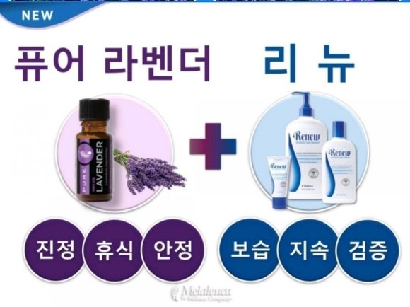 리뉴마켓 이미지