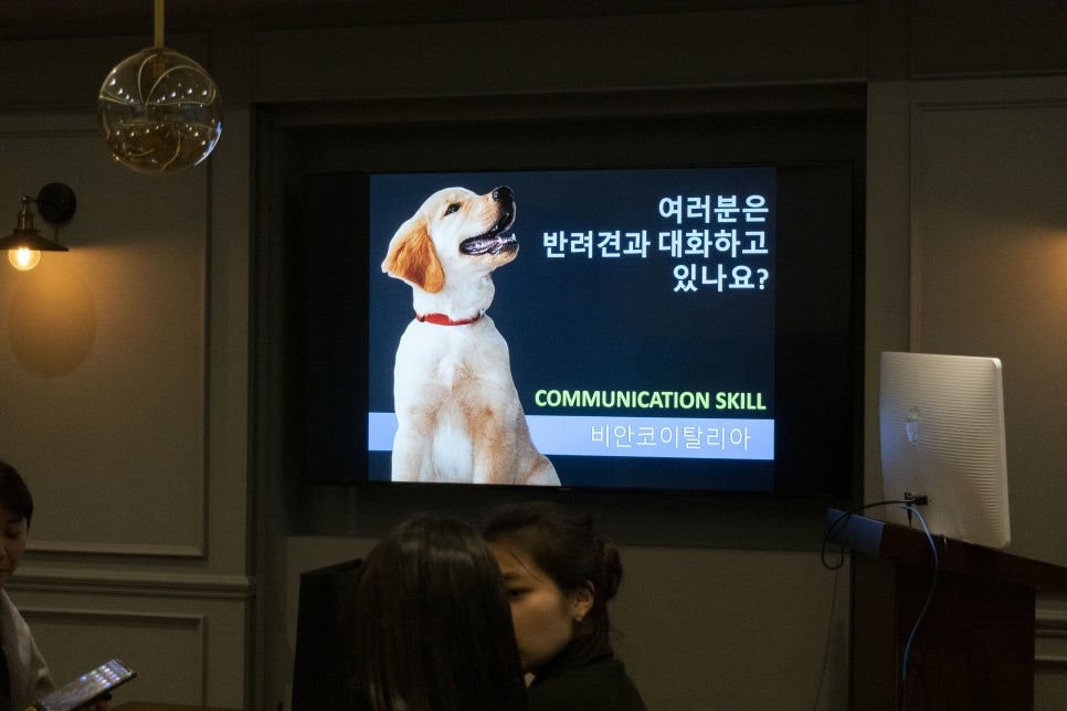 비안코 포레스트 이미지