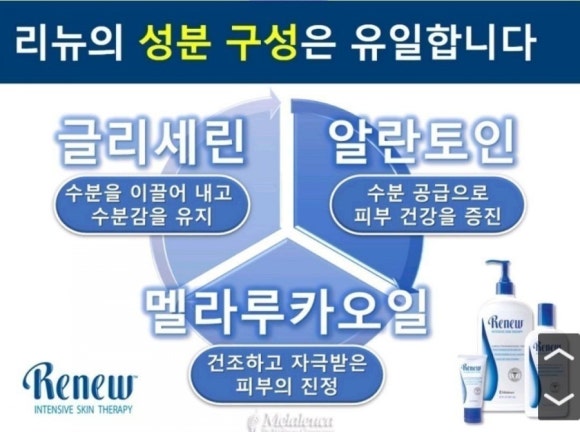 리뉴마켓 이미지