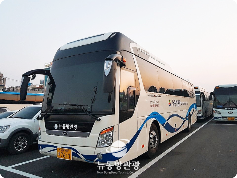 뉴동방관광 이미지