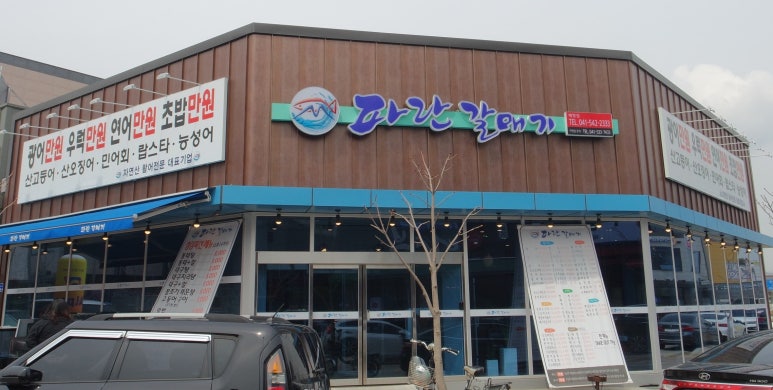 파란갈매기 이미지