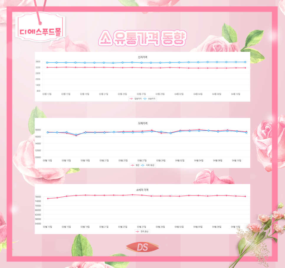 디에스유통 이미지