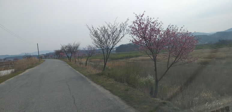 청산생선국수 이미지