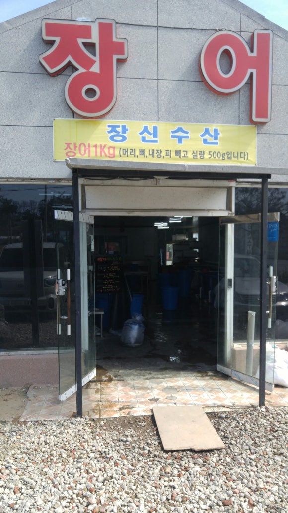 신화장어 이미지
